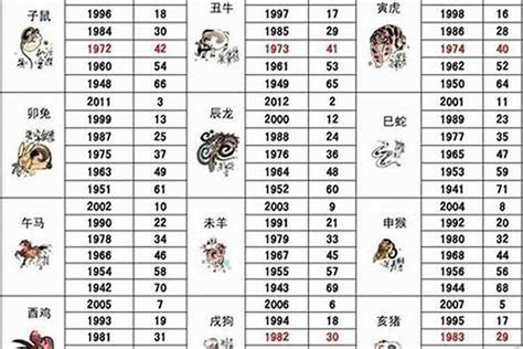 2000 年生肖|2000 年出生属什么生肖